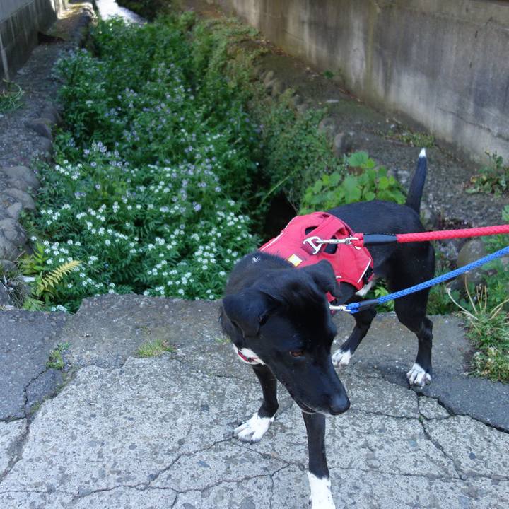 F630ba1a 4d43 4f1d 975f 3642440844da 1587776774998