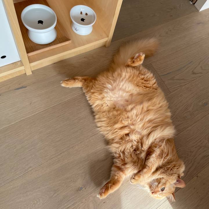 F630e5e8 bc63 4549 a730 13eb2dbabc4b 1769854414663