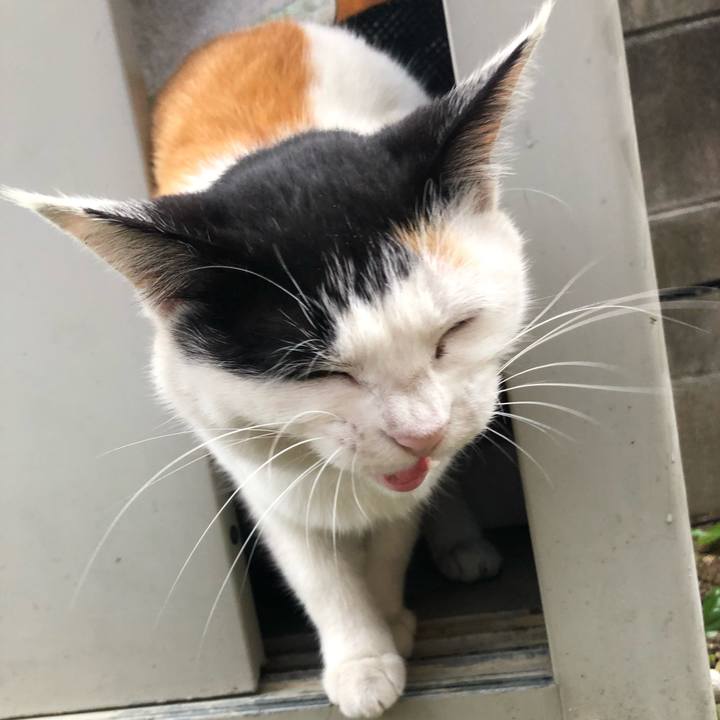 F6310a5d d121 4480 99dd 86002fc0d5ee 1618611891653