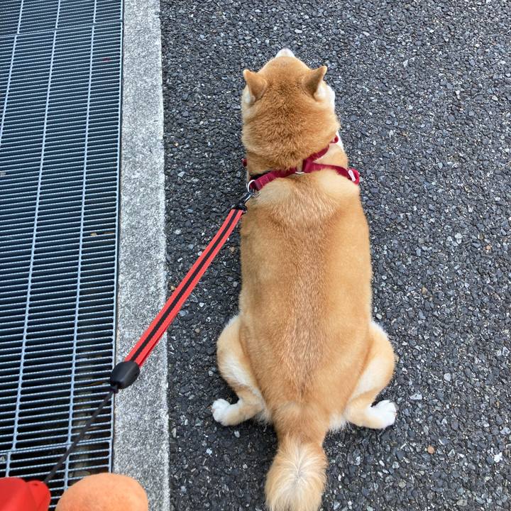 F6312880 8f41 4ebe 9d40 ca9ead7e8ef2 1625044606643