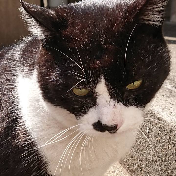 F6315cdd c100 4694 a283 405c1810a1a4 1647051576718