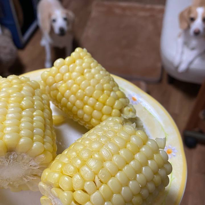 F6318222 2300 4a6d 98e2 cfcd2d188cd9 1630138851660