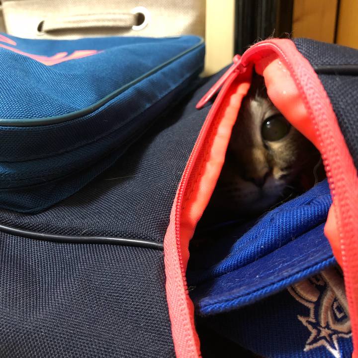 F6318cf3 251d 4a9d a217 3b0607feee20 1528805110126