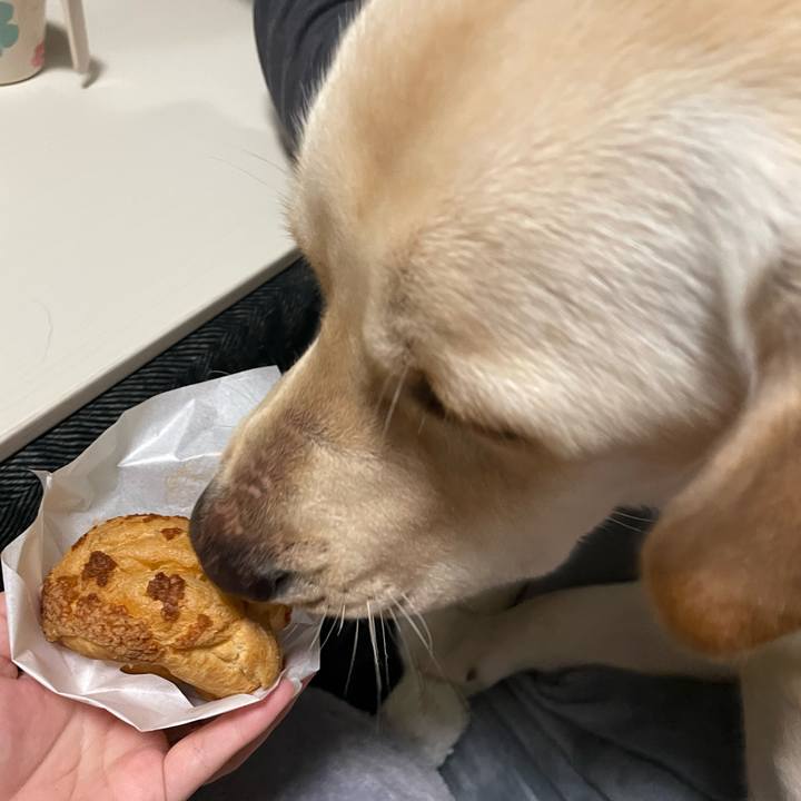 F631bca0 f653 4dce b502 567a6f201d5e 1641384531786