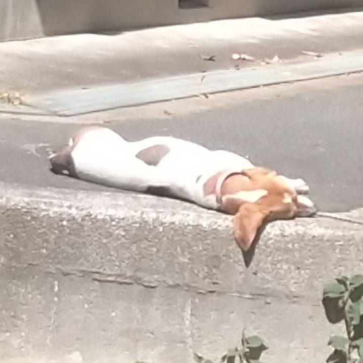 F631d662 9f86 4a08 b423 7b8582c9ef3e 1643984371175