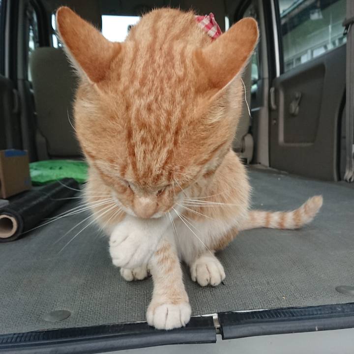 F631eea6 2854 4d61 89b0 39e996f0d58c 1562532576664