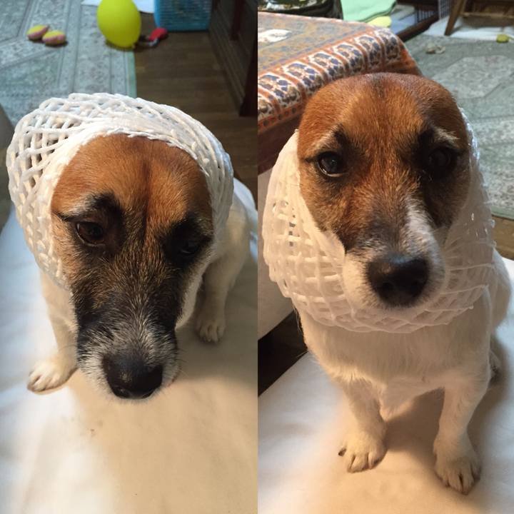 F63260ab 4bd7 417d 856f ec5f022fa0b6 1526825918579