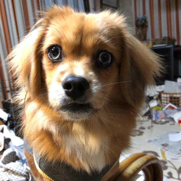 F6326aaf e19a 48c4 9934 ef0c66c56e21 1512940953497