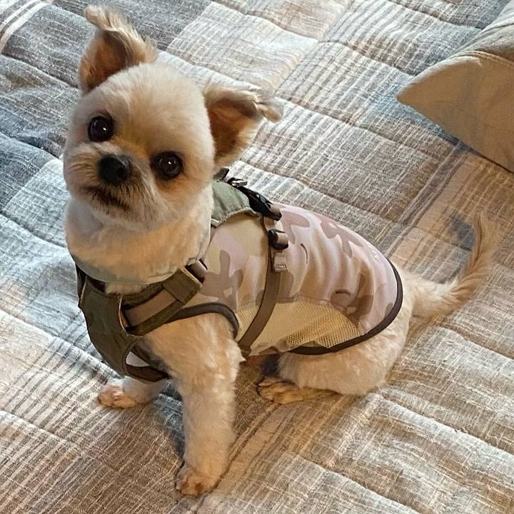 F6328b56 367a 418e 9d4b 8dc44f84d051 1751886623001