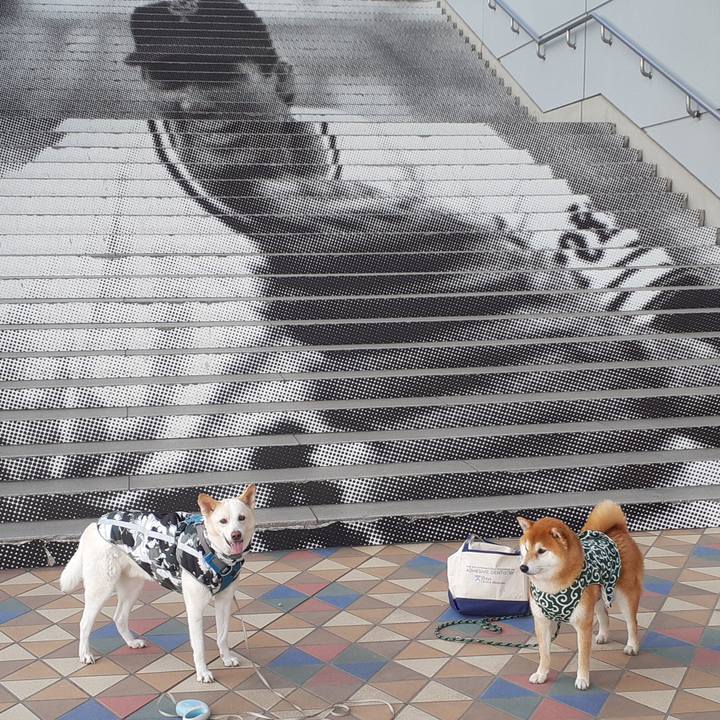 F632ae88 fc03 46dc 8a36 ffab5d88ded5 1675477603088