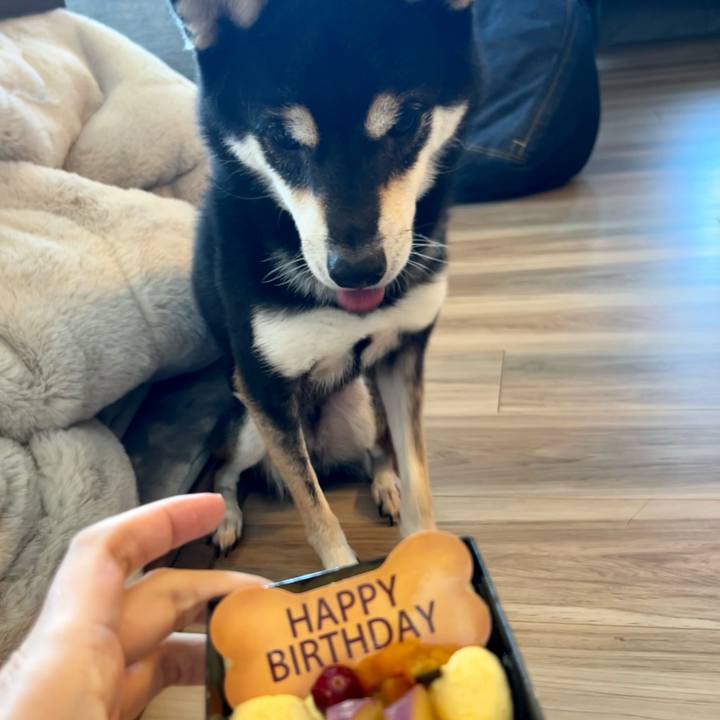 F632caa7 44ab 4fc7 92c9 29c5c1cc6607 1703499736011