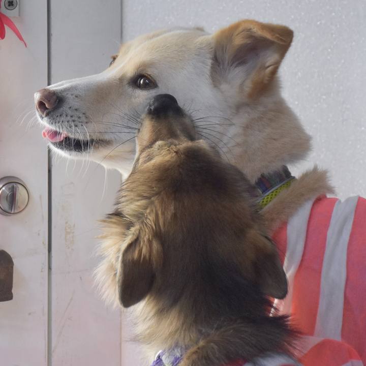 F632cf89 ed86 4e2b bf21 d5f114fb7537 1528208394505