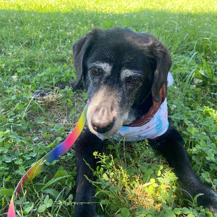 F632d475 81a9 4aad 895e ef7421c44d4b 1753101363631