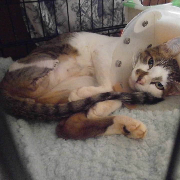 F632d4af 4489 427e b0c3 9ecc9aa5a75c 1509096939164