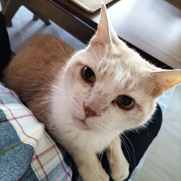 F63318be 9ac0 4b67 b35f 0bae886e9a5d 1703715266223