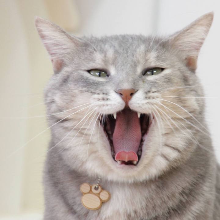 F6333c59 45ba 4435 8ff5 58b021dafdbf 1598326835003