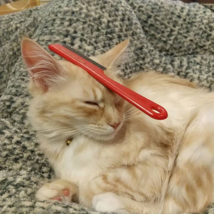 F633544c 32ec 44c0 925a 890c39bda491 1611236128960