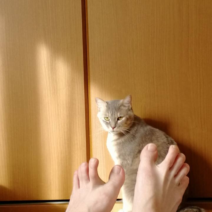 F6335875 ea23 461f 9410 809187f7fe28 1553176325089