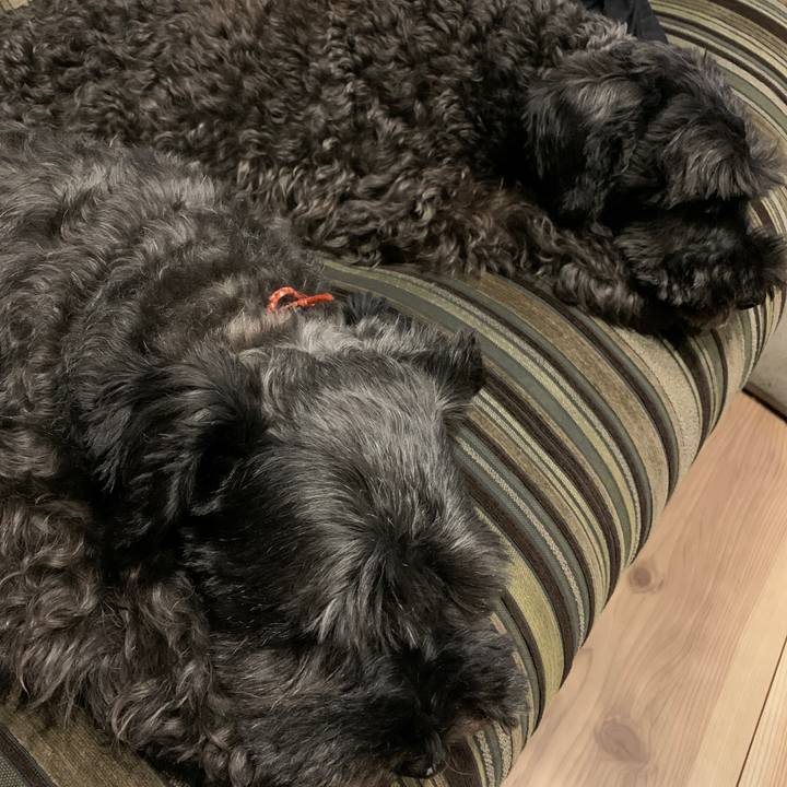 F63364c2 5466 4069 bce2 89f46d432aa3 1601471581848