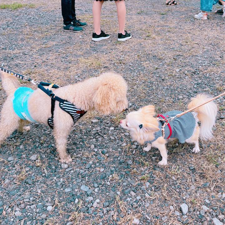 F633bbf7 6181 4215 a557 1772db28bb3e 1663739180660