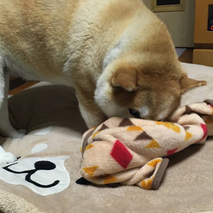 F633bbf8 8dac 4da2 abf7 5e760f1babd4 1580124341551