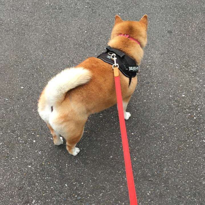 F633dca9 cece 4eb6 809e 1fd1df303173 1593854221533