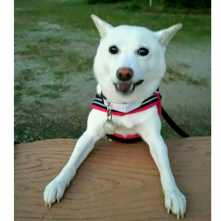 F633e3e0 e8b8 4086 9269 f527d6bf1e80 1539079076808