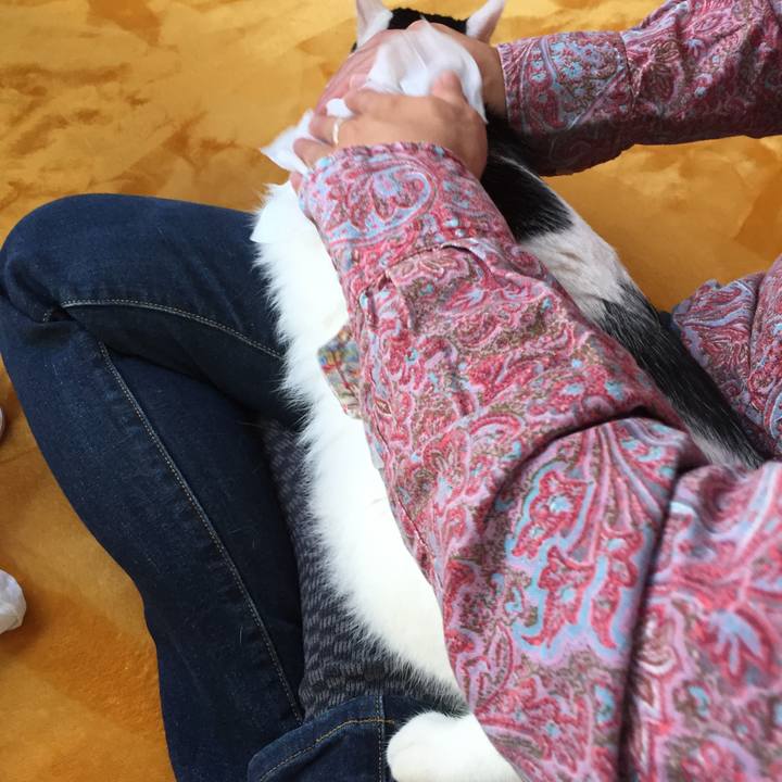 F633f053 3589 4284 ac5e ee24793209c5 1526597509182