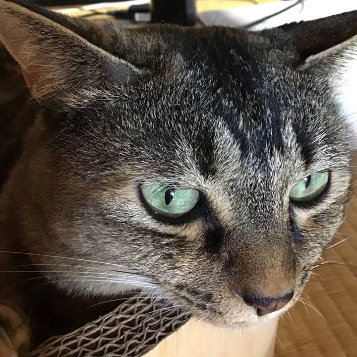 F6340f24 510b 4f0d 9734 9dfb42c48e2c 1722596098588