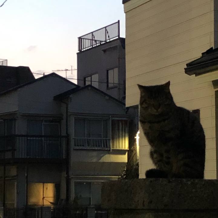 F634184a 0ec3 49c5 9255 147f92b17f4b 1552944789620