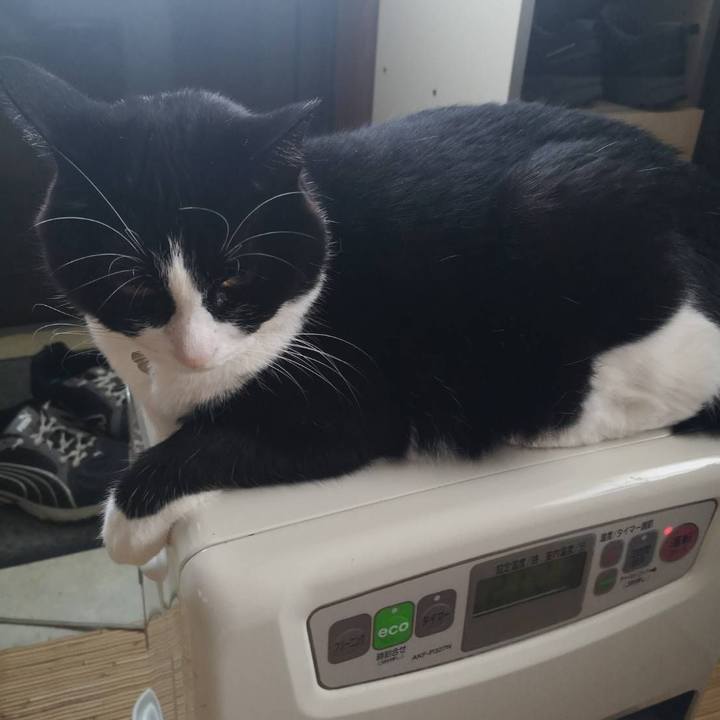 F6342e49 febd 4f5d aa6c ce3d2be86baa 1635048539845