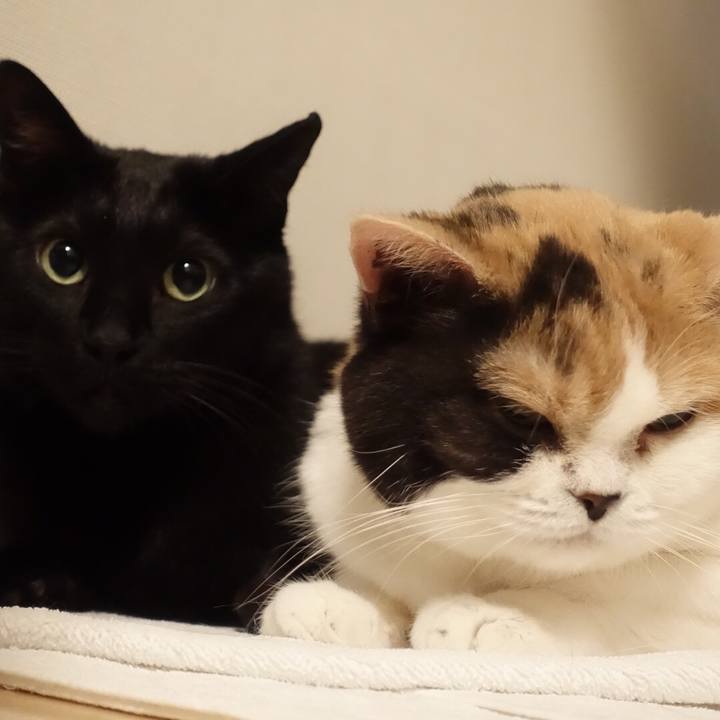 F6343098 822a 4db8 91bf 2fdbd94ef525 1547481336779