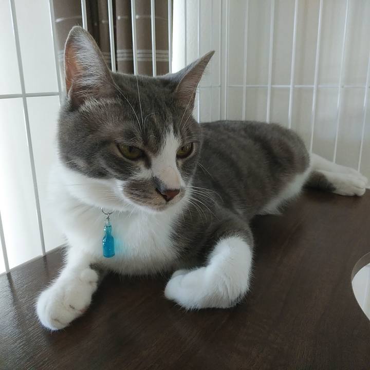 F6345dbf f68a 4ab0 877a 632af4dd772e 1591676527050