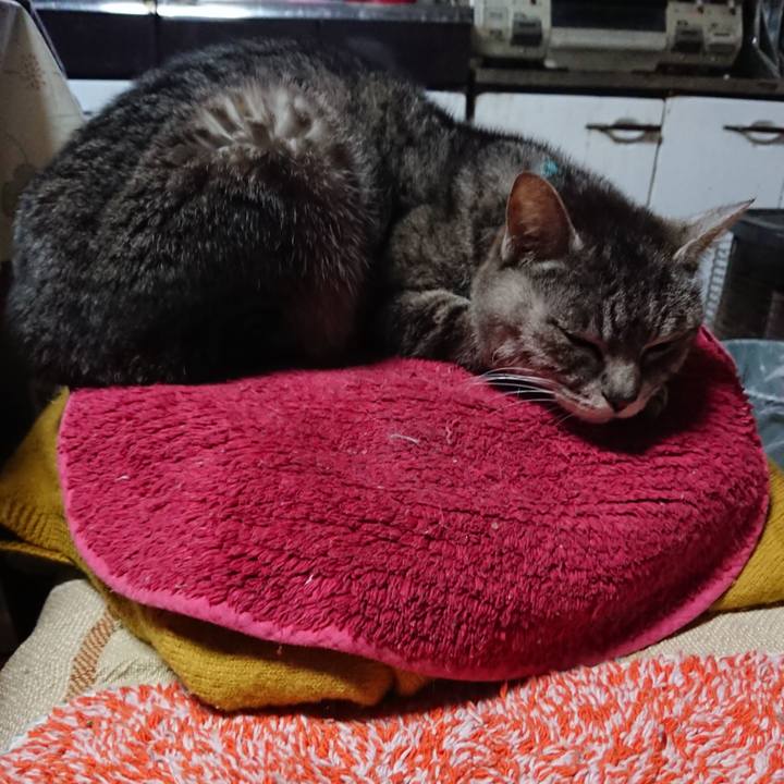 F63464e0 09a7 4bbe ae3b 5a7190700c7f 1555750720746