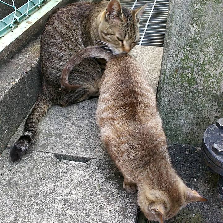 F634957b 5128 4ac0 950e cfea5b71c8a2 1521016172193