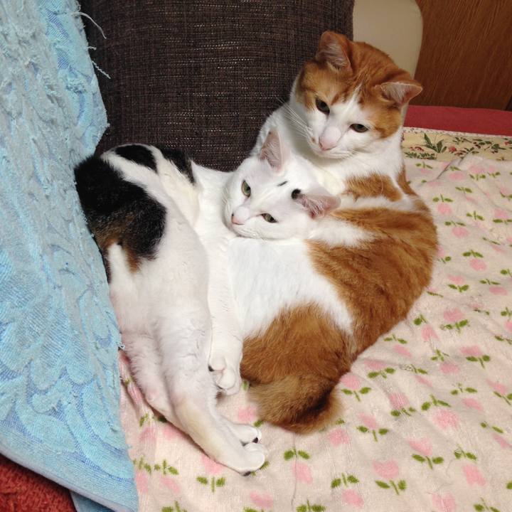 F6349aab c8ac 4d91 884d f433ef5b0f62 1520336391996