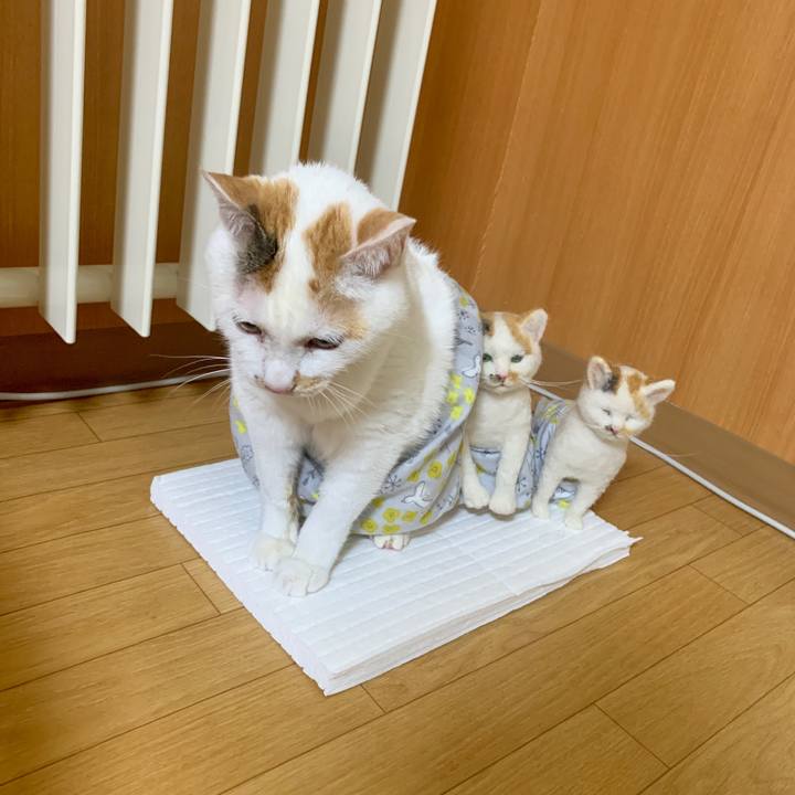 F634c8da 9a3e 437e b465 fcb8d9aa5940 1549632448655