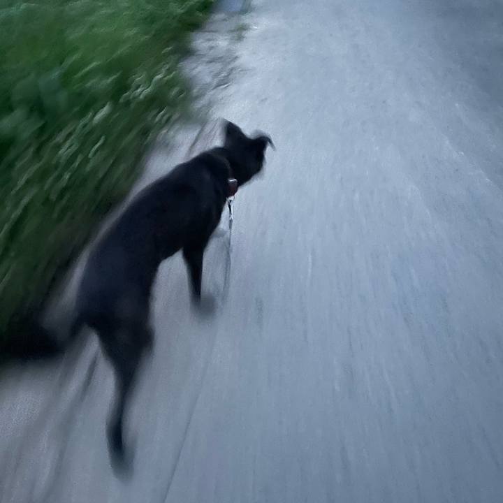 F634e7d0 70f2 48ba 8ab7 0781165ed9fe 1686683422149