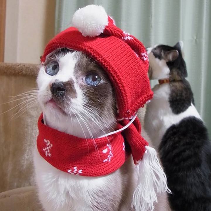 F63531ca 5dc8 42a2 865e a4af130aa299 1720219512313