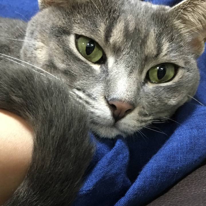 F635b810 9c6f 4d8b 9d32 8212d499efb4 1537013744720