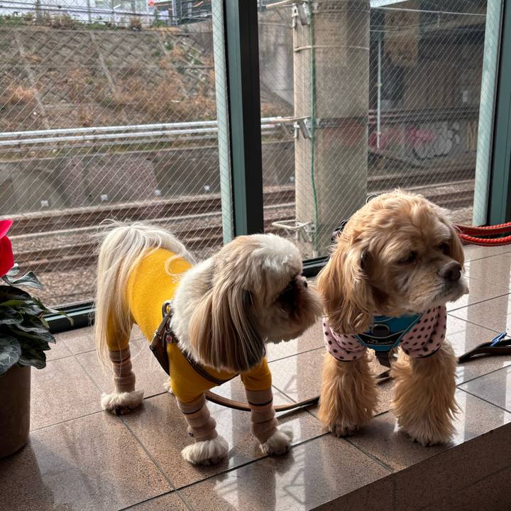 F635baea 6005 48ae 88ce 3cfa7e7b1015 1771159456332