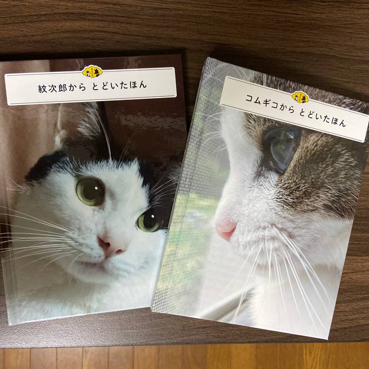 F635cdca 7b22 48bb 956e a50cb43c50f6 1621338129761