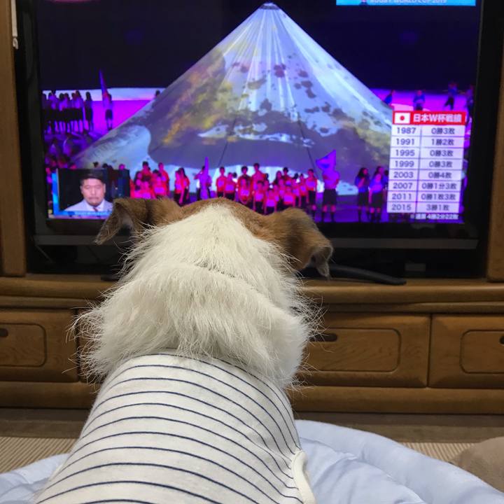 F6361dc3 7663 4a9a a85a d7c703111655 1568973733616