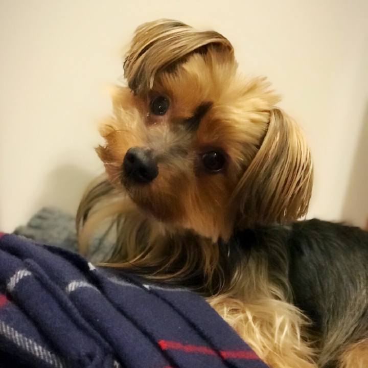 F6366bb3 6e1a 4285 bc1b 456876b1cef2 1508491500090