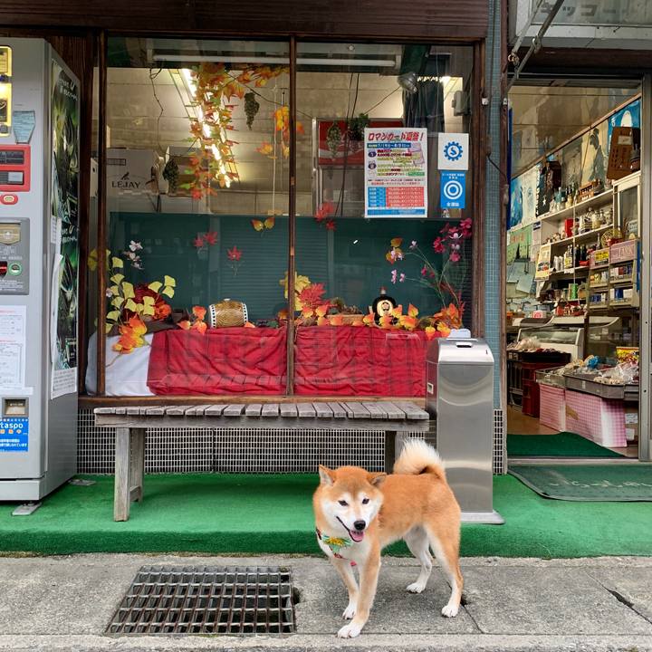 F636b490 4a5f 4a9b 8f7e 94952e7636df 1566892097361