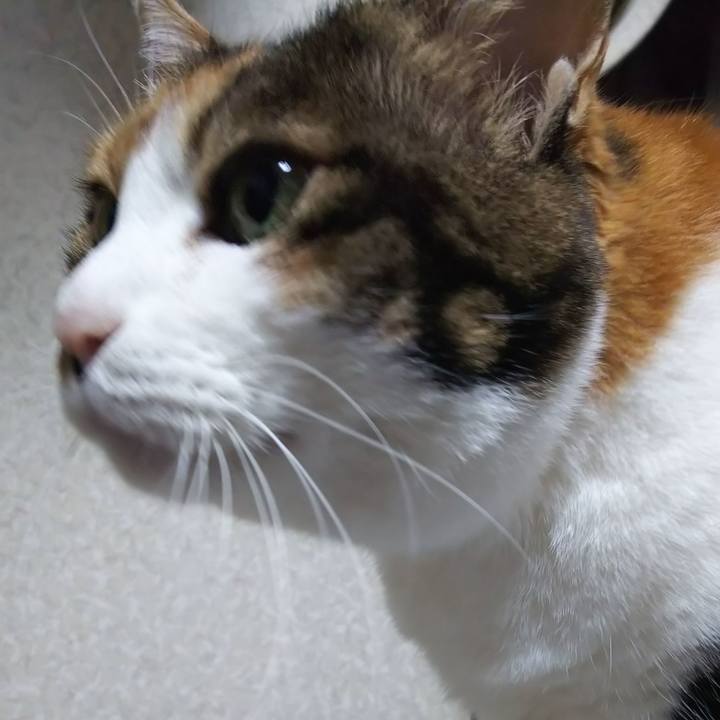 F6370b79 3996 4863 a889 6693d9d0622a 1580334548215