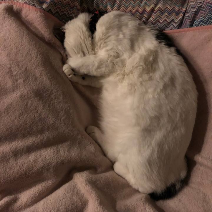 F637112d 1fe9 4493 802a 634f6d2b2356 1551622014278