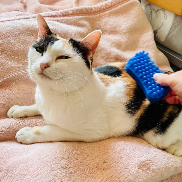 F6371c4e de42 4fdd ad26 51bbbba92193 1617846135657