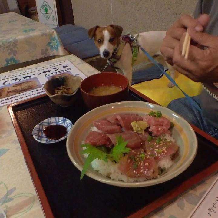 F6374b1e 4ab3 488d 8925 8fef91f01ba9 1653003263747