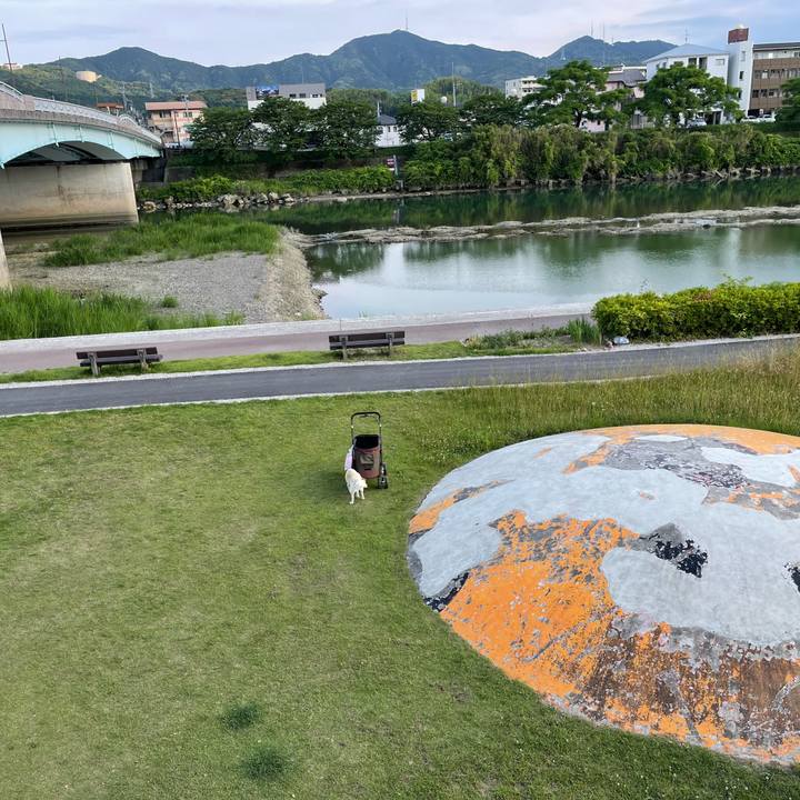 F63766aa db73 4814 a963 5f655f8171ce 1654356161456